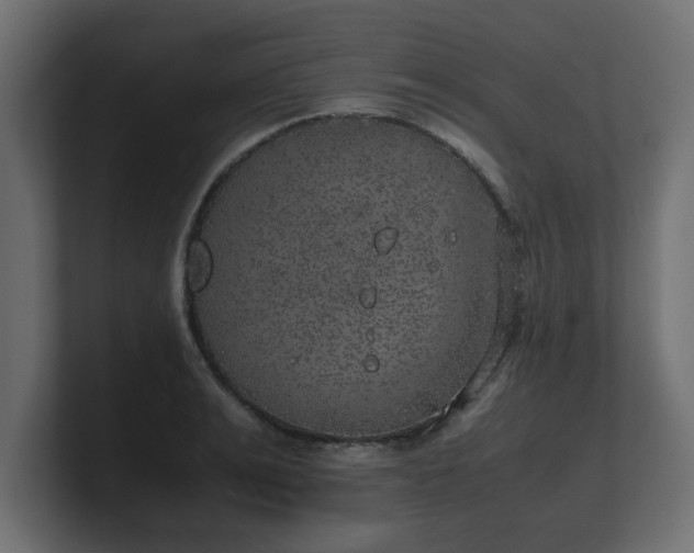 X0000100760991200806261601