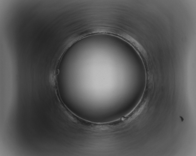 X0000100760993200806261601