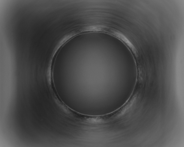 X0000100760994200806261601