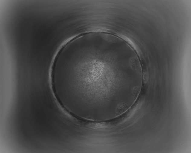 X0000100760995200806261601