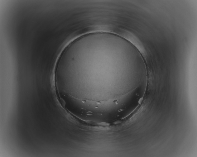 X0000100760996200806261601