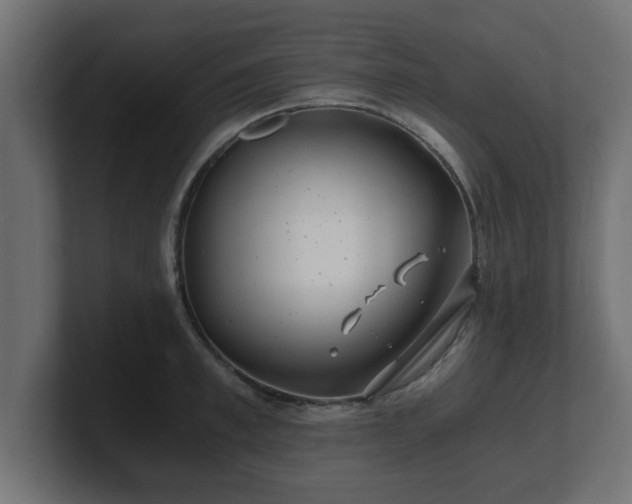 X0000100760997200806261601