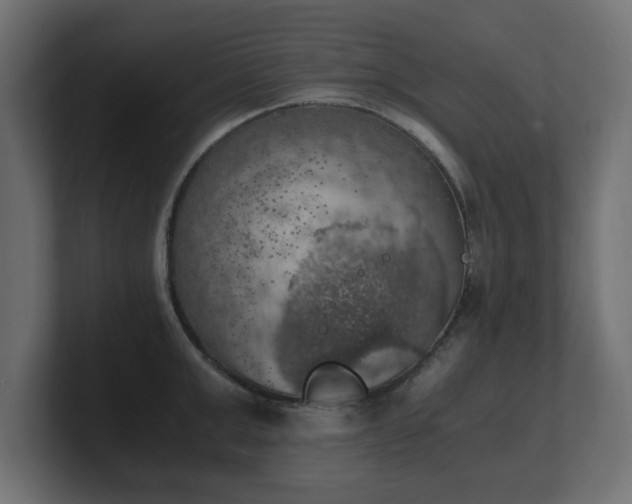 X0000100760999200806261601