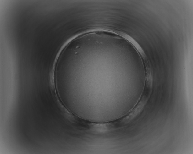 X0000100761004200806261601