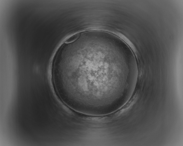 X0000100761005200806261601