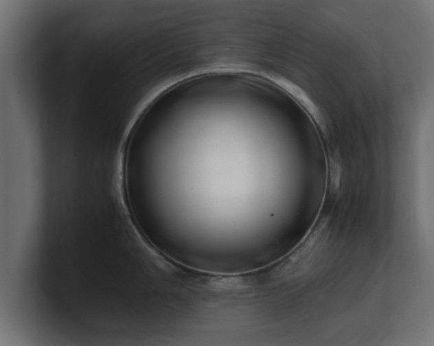 X0000100761006200806261601