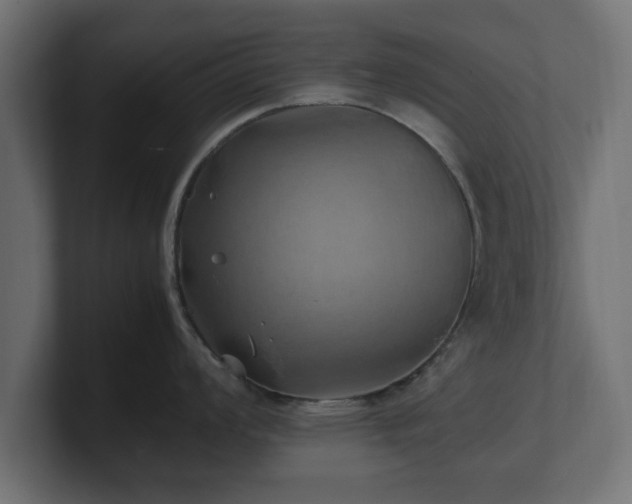 X0000100761008200806261600