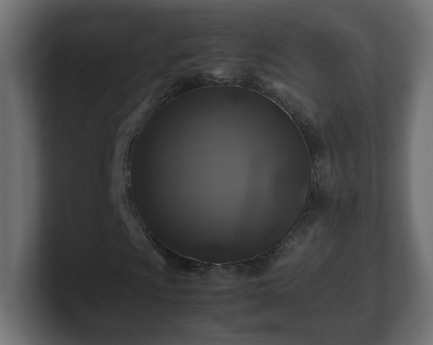 X0000100761009200806261600