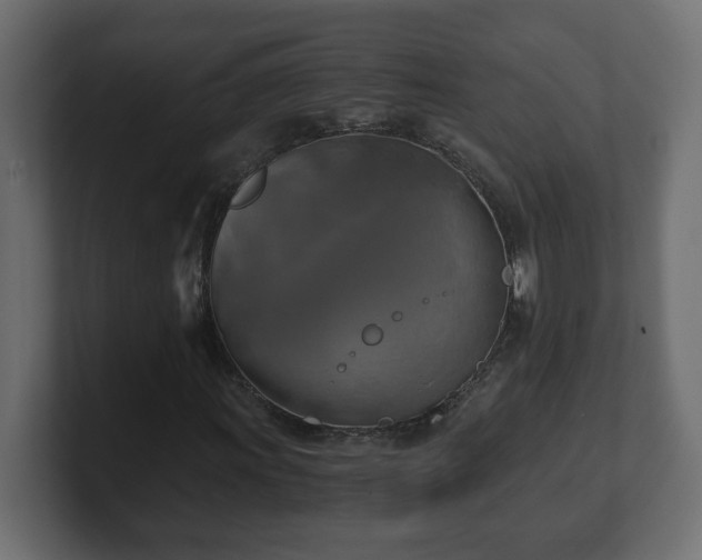 X0000100761011200806261600