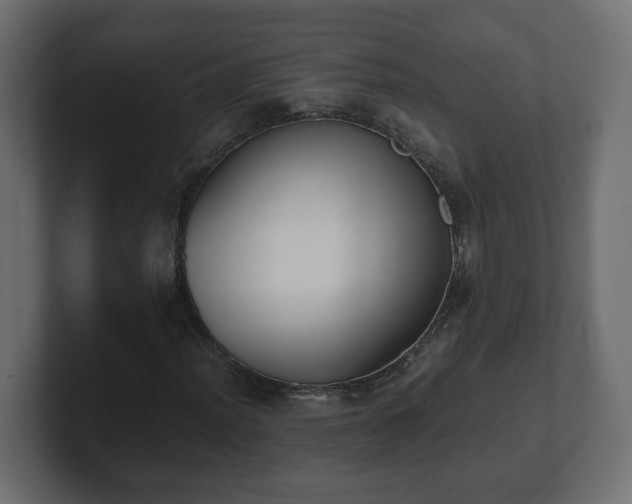 X0000100761012200806261600