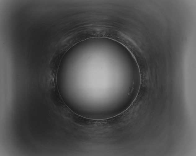 X0000100761013200806261600