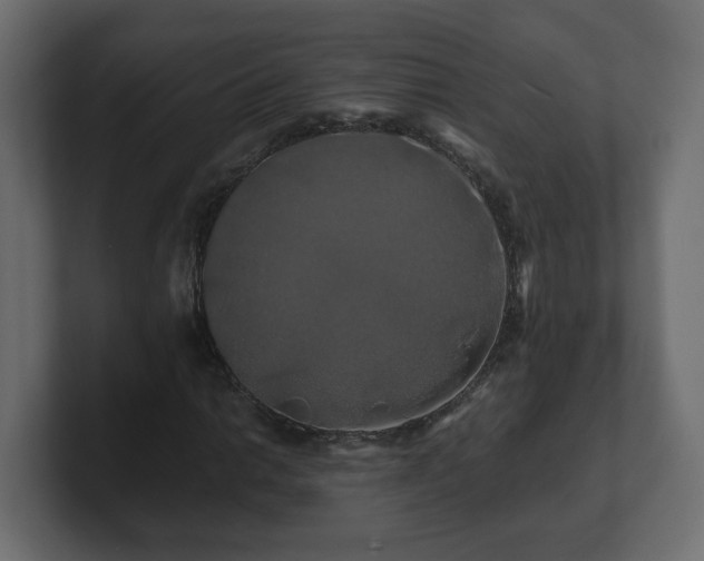 X0000100761014200806261600