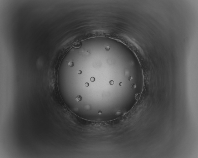 X0000100761015200806261600