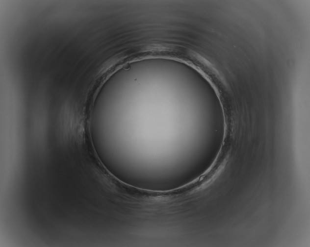 X0000100761017200806261600