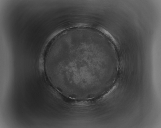 X0000100761019200806261600