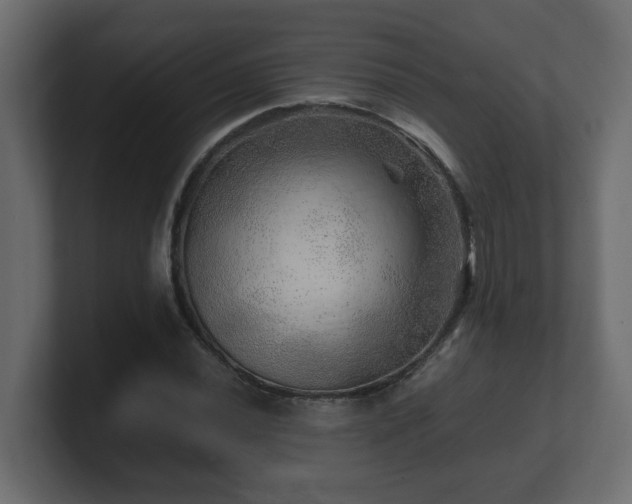 X0000100761020200806261600