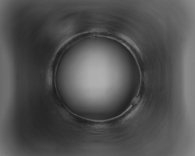 X0000100761021200806261600