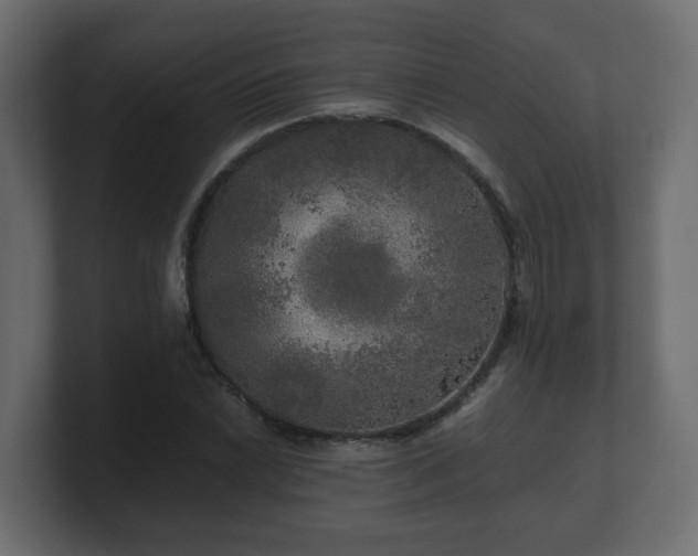 X0000100761022200806261600