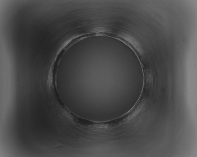 X0000100761023200806261600