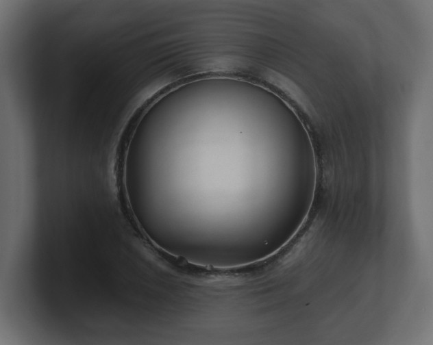 X0000100761026200806261600