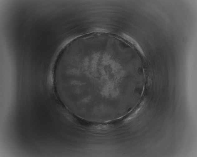 X0000100761027200806261600