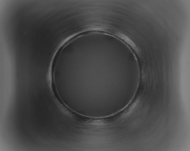 X0000100761028200806261600