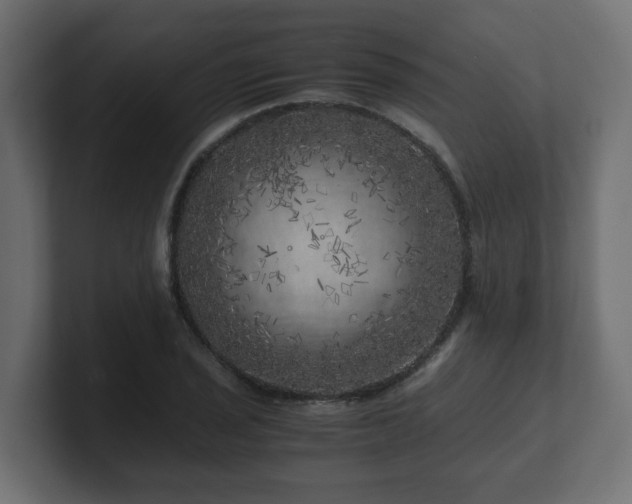 X0000100761029200806261600