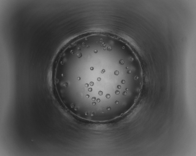 X0000100761030200806261600