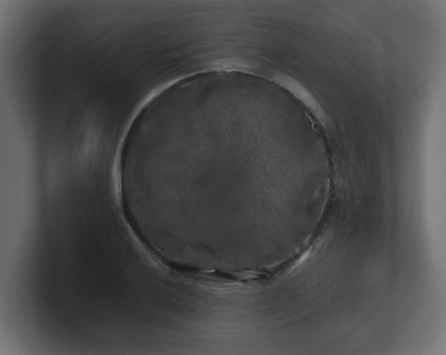 X0000100761032200806261600