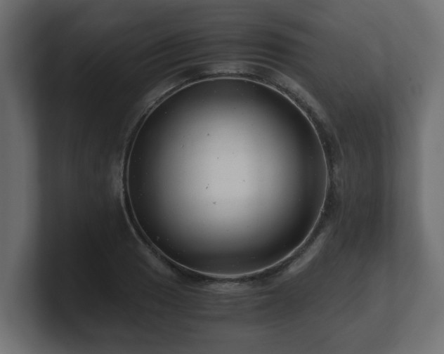 X0000100761033200806261600