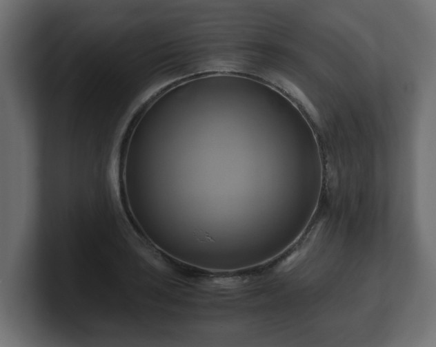 X0000100761035200806261600