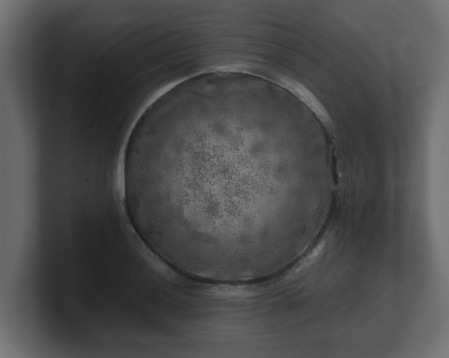 X0000100761036200806261600