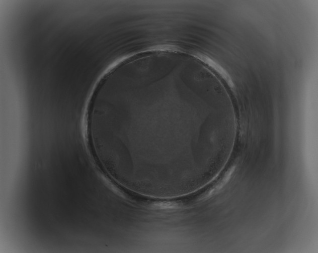 X0000100761037200806261600