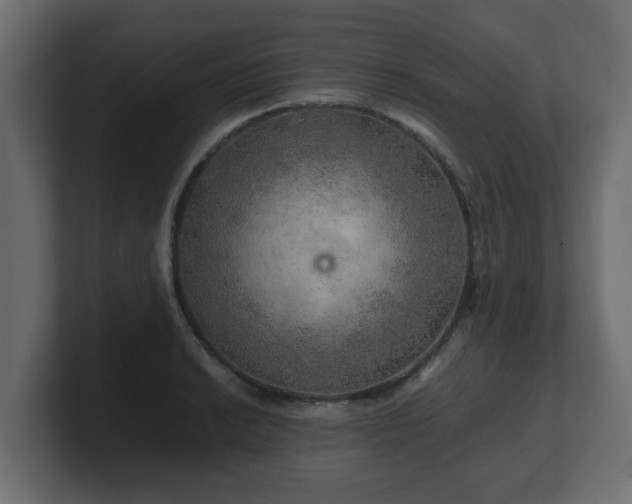 X0000100761038200806261600