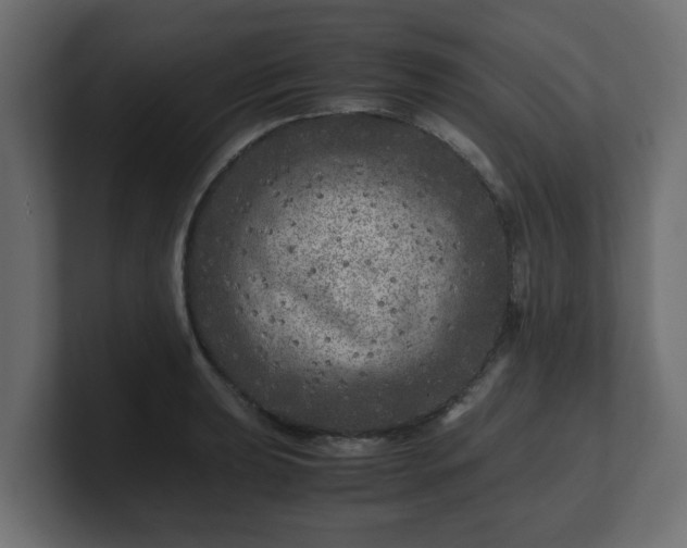 X0000100761039200806261600