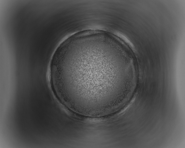 X0000100761040200806261600