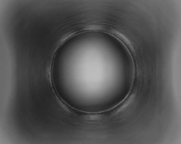 X0000100761041200806261600