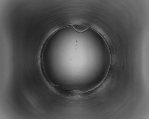 X0000100761042200806261600