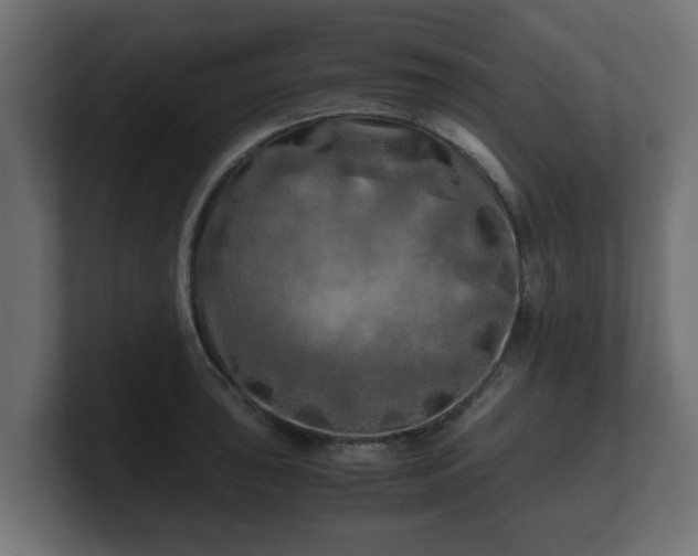 X0000100761043200806261600