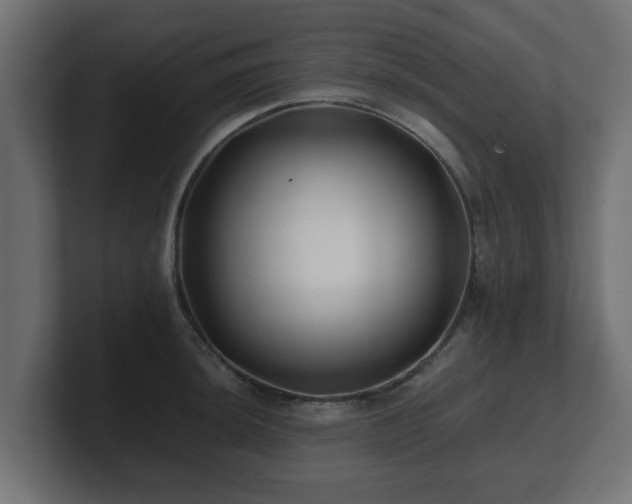 X0000100761044200806261600