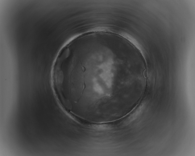 X0000100761045200806261600