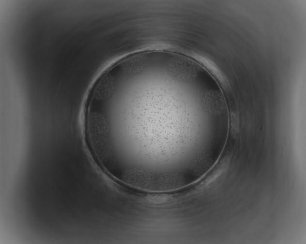 X0000100761046200806261600