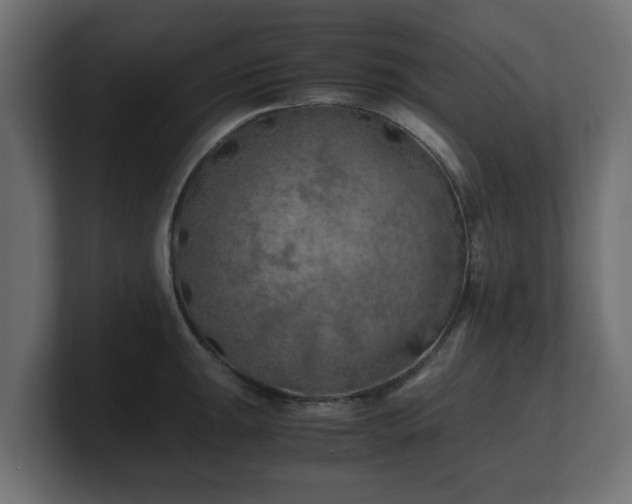 X0000100761047200806261600