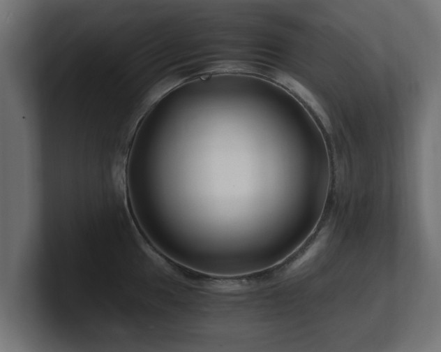 X0000100761049200806261600