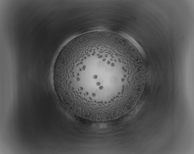 X0000100761051200806261600