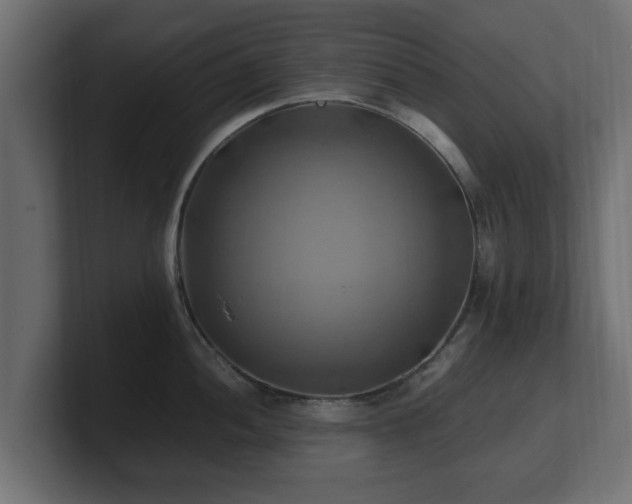 X0000100761052200806261600