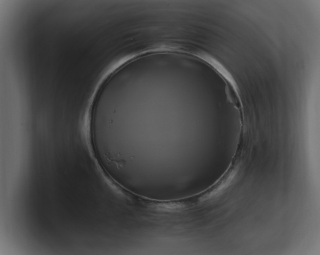 X0000100761053200806261600