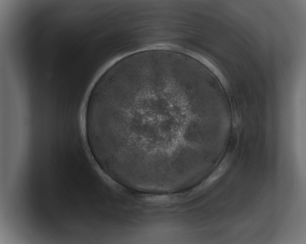 X0000100761054200806261600