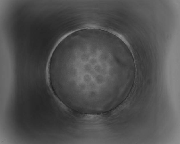 X0000100761056200806261600