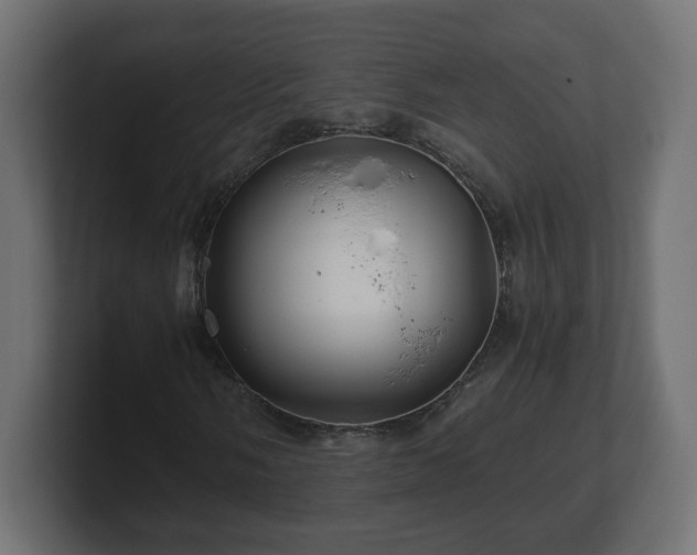 X0000100761058200806261600